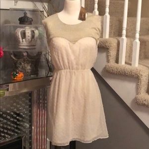 Beautiful Gold and Creme Dress